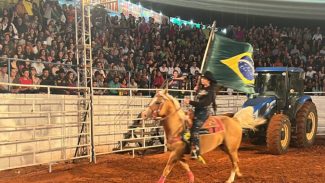 Exposições aquecem turismo e a economia local ao redor do Paraná