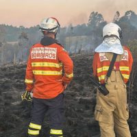 Imagem referente a Incêndios florestais no Paraná caem 57% entre a primeira quinzena de setembro e outubro