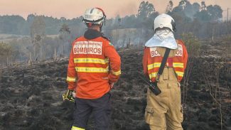 Incêndios florestais no Paraná caem 57% entre a primeira quinzena de setembro e outubro