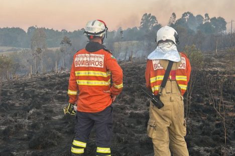 Imagem referente a Incêndios florestais no Paraná caem 57% entre a primeira quinzena de setembro e outubro