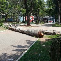 Imagem referente a SP: após apagão, bares e restaurantes pedem mais prazo para impostos