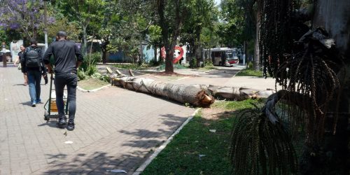 Imagem referente a SP: após apagão, bares e restaurantes pedem mais prazo para impostos