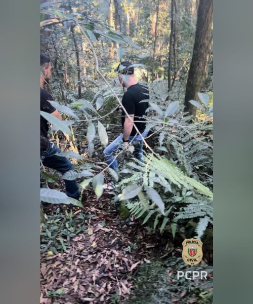 Imagem referente a Homicídio e ocultação de cadáver de jovem desaparecido é esclarecido