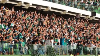 Justiça de São Paulo quer ampliar torcida única