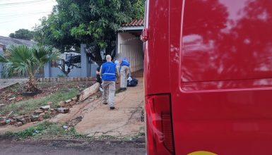 Imagem referente a Criança de cinco anos é atacada por Pitbull ao chegar da escola