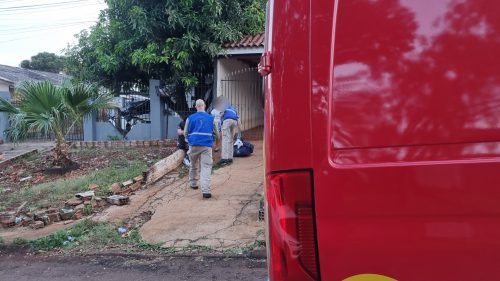 Imagem referente a Criança de cinco anos é atacada por Pitbull ao chegar da escola