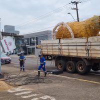 Imagem referente a Capivara perdeu a cabeça: Caminhão com decoração natalina se enrosca em fios de energia na Rua Paraná