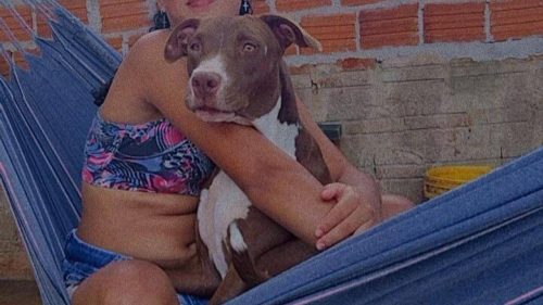 Cachorra Zafira desapareceu no bairro Brasmadeira