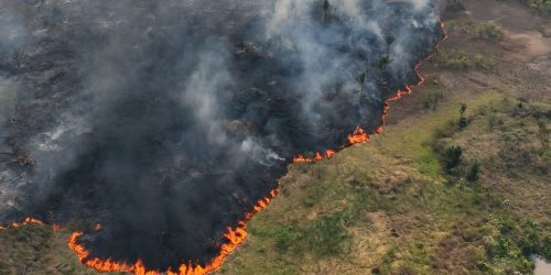 Imagem referente a Caminhos da Reportagem destaca as queimadas deste ano