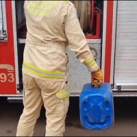 Imagem referente a Gamba é capturado pelos bombeiros em imóvel na Rua Jorge Lacerda