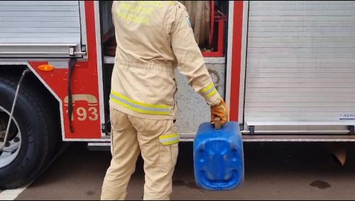 Imagem referente a Gamba é capturado pelos bombeiros em imóvel na Rua Jorge Lacerda