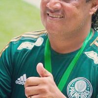 Imagem referente a Morre ex-zagueiro Tonhão, ídolo do Palmeiras, aos 55 anos