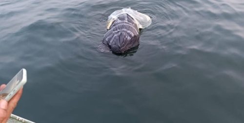 Imagem referente a Suspeito de matar e esquartejar Cleiton no Lago de Itaipu é preso após investigação detalhada