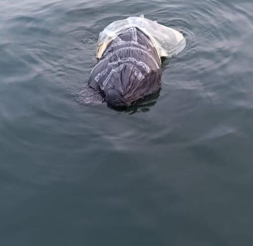 Imagem referente a Suspeito de matar e esquartejar Cleiton no Lago de Itaipu é preso após investigação detalhada