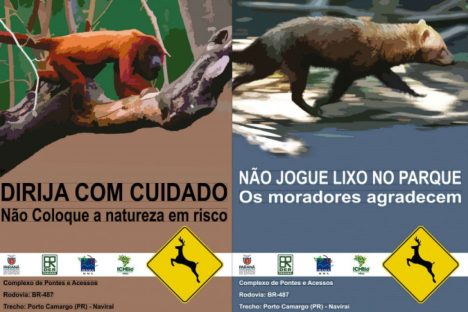 Imagem referente a DER-PR homologa licitação para nova sinalização rodoviária na Parque Nacional Ilha Grande