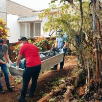 Imagem referente a Corpo em avançado estado de decomposição é localizado no Cataratas