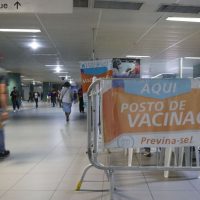 Imagem referente a Saúde nega desabastecimento generalizado de vacinas no Brasil