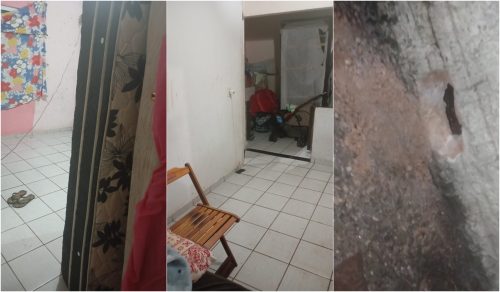 Imagem referente a Morador do Santa Cruz precisa fazer buracos no muro para água sair de residência