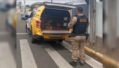 Imagem referente a Dupla é presa após invasão e importunação sexual em comércio