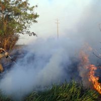 Imagem referente a IAT estabelece portaria orientativa sobre incêndios em imóveis rurais do Paraná