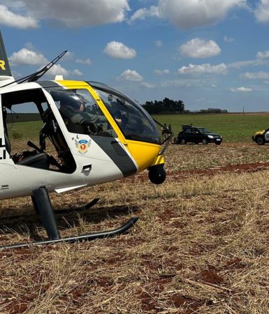 Imagem referente a Helicóptero Falcão 13 auxilia na captura de suspeitos e apreensão de quase meia tonelada de droga