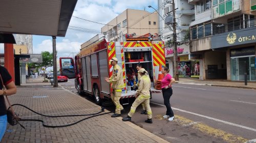 Imagem referente a Gato preso na tubulação de água mobiliza Corpo de Bombeiros