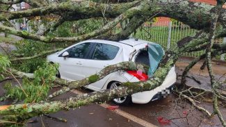 Cascavel enfrenta mais um temporal nesta quinta-feira (24)