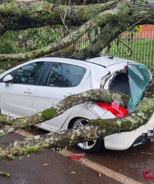 Imagem referente a Cascavel enfrenta mais um temporal nesta quinta-feira (24)