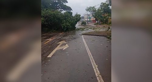 Imagem referente a Temporal causa estragos na Avenida Piquiri: árvore e poste caem e interditam via