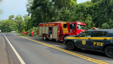 Imagem referente a Temporal derruba árvore no km 469 da BR-277 e bloqueia parte da rodovia