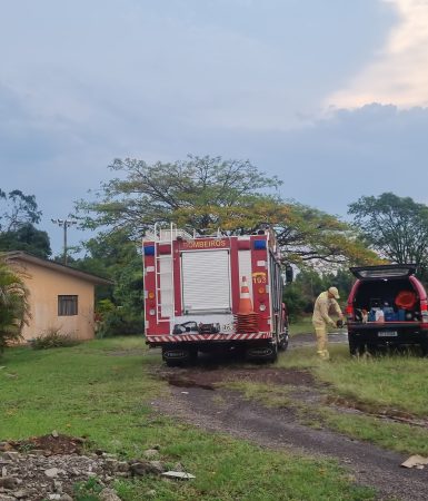 Imagem referente a Galhos de árvore atingem residência na Avenida Itelo Webber