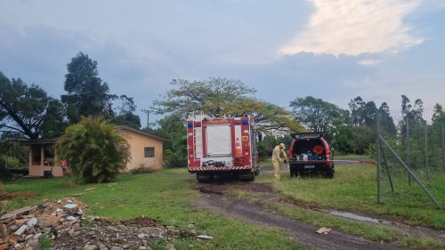 Imagem referente a Galhos de árvore atingem residência na Avenida Itelo Webber