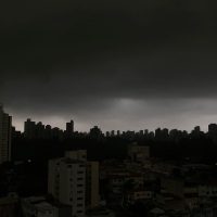 Imagem referente a Temporal em SP derruba árvores e deixa moradores sem luz