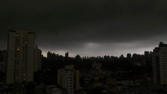 Temporal em SP derruba árvores e deixa moradores sem luz