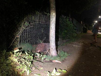 Imagem referente a Bombeiros podam árvore na Avenida das Pombas após temporal 