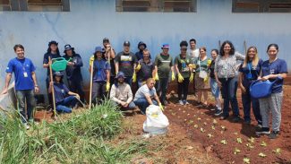 Sanepar prepara moradores para atuar em hortas comunitárias de Arapongas