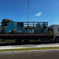 Imagem referente a PF prende dois indivíduos transportando cocaína em caminhão que viria para Cascavel