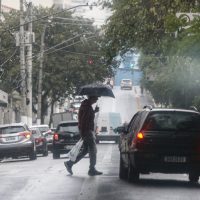 Imagem referente a Defesa Civil de São Paulo confirma quarta morte após temporal