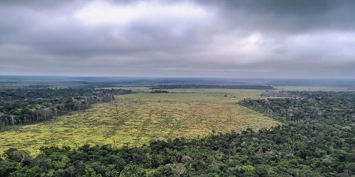 Imagem referente a Degradação de florestas na Amazônia bate recorde mensal em setembro