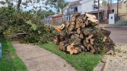 Imagem referente a Equipes da Prefeitura removem árvore caída que interditava rua Belém desde quinta-feira