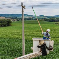 Imagem referente a Do Clic Rural aos 19 mil km de redes do Paraná Trifásico, Copel leva investimentos ao campo