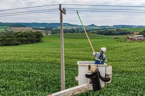 Imagem referente a Do Clic Rural aos 19 mil km de redes do Paraná Trifásico, Copel leva investimentos ao campo