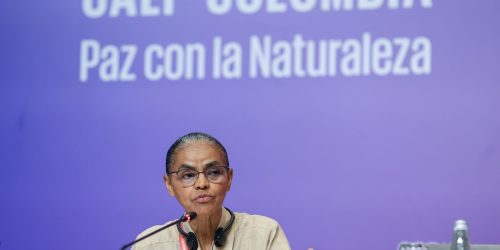 Imagem referente a Na COP16, Marina Silva defende fundo para remunerar povos tradicionais