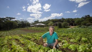 Em dez anos, Tecpar certifica 271 produtores orgânicos de São José dos Pinhais