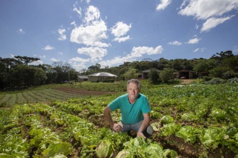 Imagem referente a Em dez anos, Tecpar certifica 271 produtores orgânicos de São José dos Pinhais