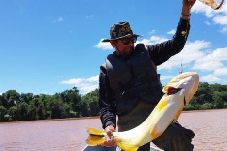 Imagem referente a Piracema: proibição de pesca predatória na Bacia do Rio Paraná começa na sexta-feira