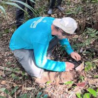 Imagem referente a Portos Paraná encerra outubro com capacitação de pescadores e plantio de árvores