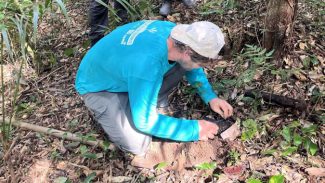 Portos Paraná encerra outubro com capacitação de pescadores e plantio de árvores