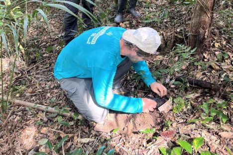 Imagem referente a Portos Paraná encerra outubro com capacitação de pescadores e plantio de árvores