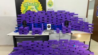 PMPR apreende 305 quilos de maconha escondidos em estofaria em Curitiba